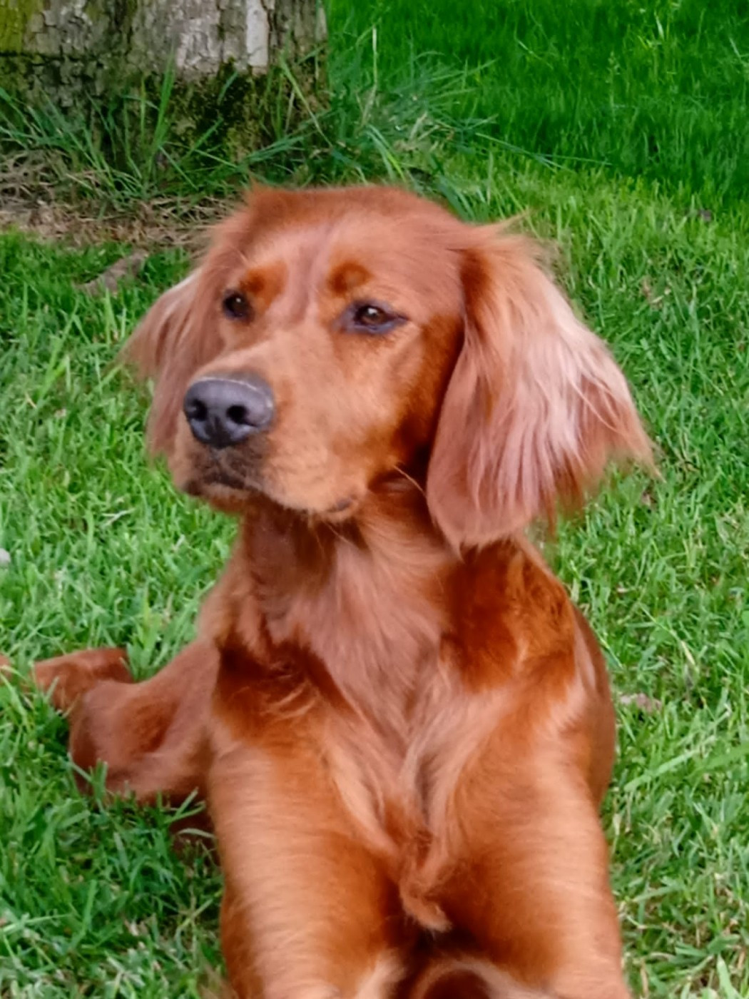 KAYLEIGH est gestante